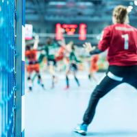 Håndbold 6-ugers forløb (6-10 år)