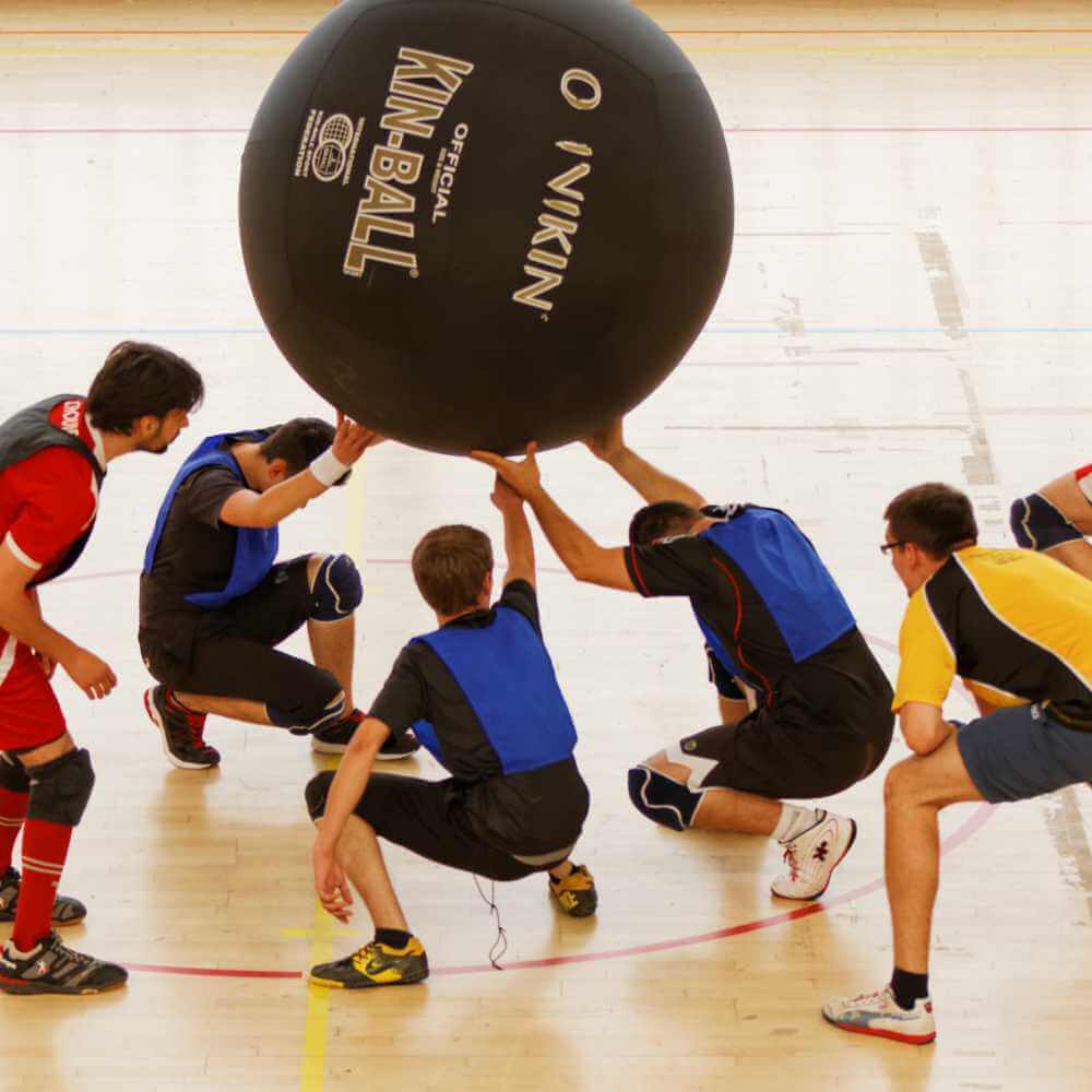 Tryout image